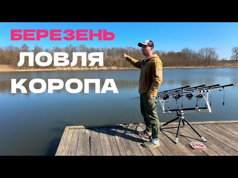 Видео: ВІДКРИТТЯ СЕЗОНУ 2025. Ловля коропа весною по холодній воді