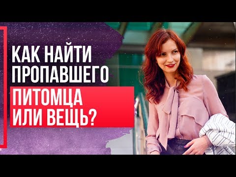 Видео: Как найти пропавшую кошку, животное? Метод Сильва. Как найти пропавшую вещь?