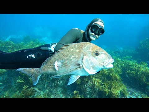 Видео: Wettie TV | Подводная охота на мелководье: техника и стратегия