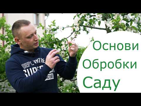 Видео: Основи захисту саду від хвороб та шкідників. Різниця між контактними і системними препаратами.