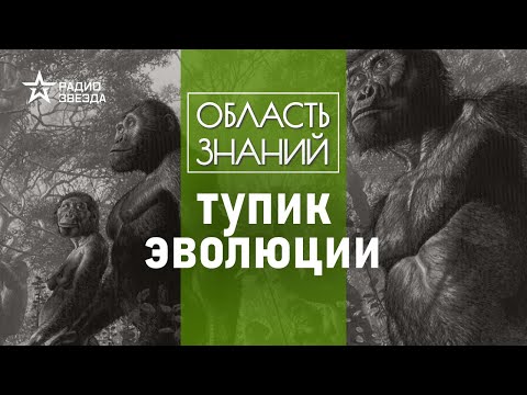 Видео: Почему обезьяны больше не становятся людьми?  Лекция антрополога Елены Судариковой