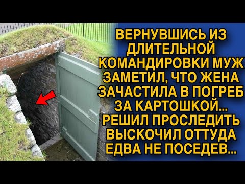 Видео: Муж вернулся с длительной командировки и заметил что его жена зачастила ходить в погреб, а проследив