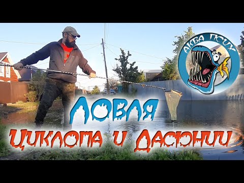 Видео: Как ловить Циклоп и Дафнию в открытых водоемах