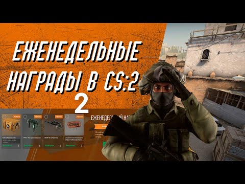 Видео: Cколько я  зарабатываю с 4 аккаунтов Prime в CS2,неделя 2