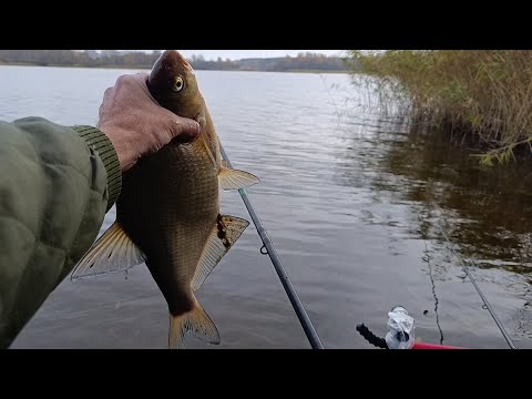Видео: Фидер в ноябре. Рыбалка на грани пролёта.