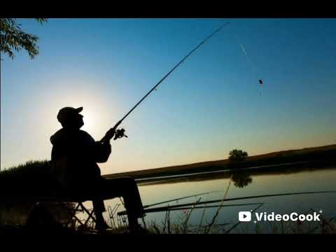 Видео: Вот 2 версия песни хочу на рыбалку