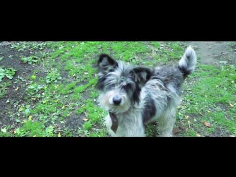 Видео: Хутор Михайловский (г. Дружба) осень 2016