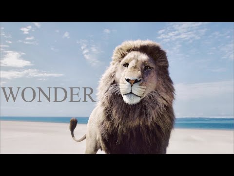 Видео: Хроники Нарнии | Чудо