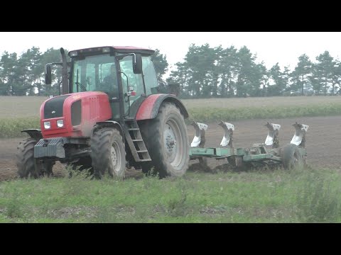 Видео: вспашка земли трактором МТЗ 2022.3 Беларус