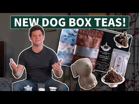 Видео: Чай Гунфу с Джесси: чайные смолы, белый чай с древнего дерева и красный чай Цимэнь премиум-класса...