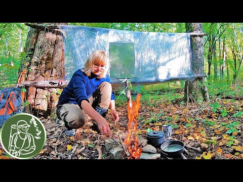 Видео: 🔥 Подвесная палатка из стрейч-пленки 🌲 Ночёвка в лесном укрытии 🪓 Столик из веток