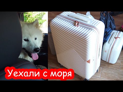 Видео: VLOG Настя, Катя и Луна уехали. Учу Алису читать