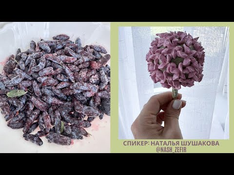 Видео: МК Натальи Шушаковой🌹ЗЕФИР из Жимолости + РЕЦЕПТ🌿Honeysuckle Zefir RECIPE