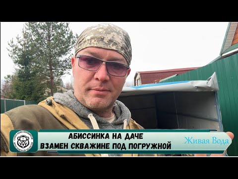 Видео: Абиссинская скважина Ярославль 💧// СНТ Соснячок