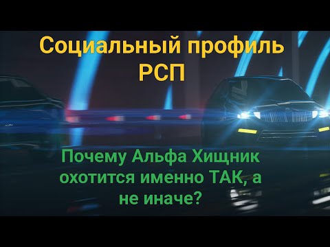 Видео: Исследование социального профиля РСП. Авторская статья от зрителя канала.