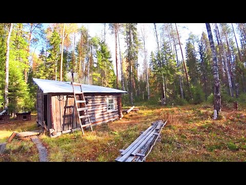 Видео: Первый день в тайге. Что я взял на десять дней? Утеплил избушку. 2 серия