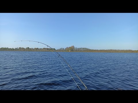 Видео: Осенняя рыбалка на спиннинг 🎣