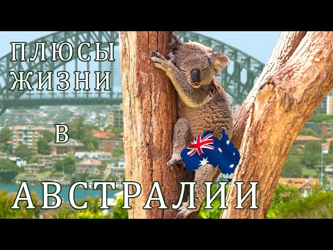 Видео: Плюсы жизни в Австралии
