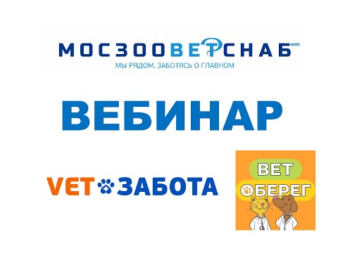 Видео: ДКМП