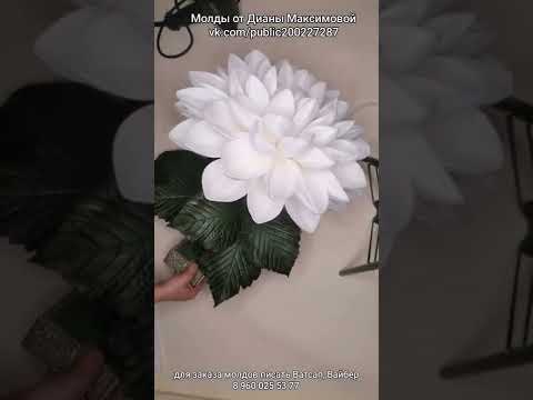 Видео: 1. МК георгин из изолона. Молды от Дианы Максимовой