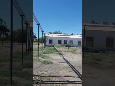 Видео: Кызылорда 172 школа моя родная