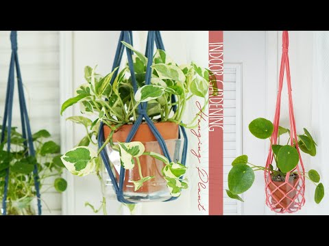 Видео: Сетчатая подвесная установка из одной нити, пряжа для вязания, летняя кашпо, переработка пластика