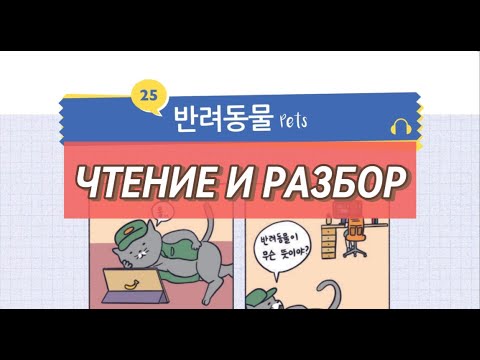 Видео: 25 반려동물 Читаем на корейском и разбираем
