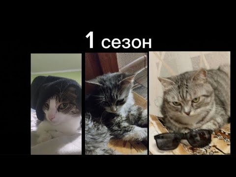 Видео: ЗАХВАТ КОМАРУ (1 сезон)