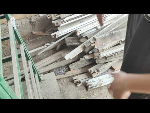 Видео: (2160) сын Ушастика и Каштанки.