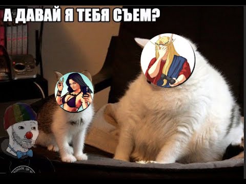 Видео: Зио и Стас про страх Шевцова перед Келя