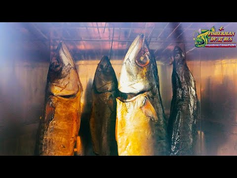 Видео: Скумбрия в пиве, холодного копчения в коптилке Hobbi Smoke по рецепту от Fisherman DV  27Rus
