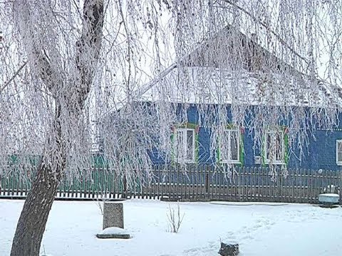 Видео: «Печки лавочки» 26.12.2018
