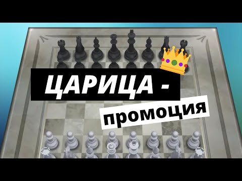 Видео: Царица - промоция