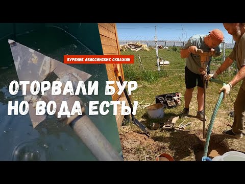 Видео: Бур отрывает на раз-два! — Абиссинка в дом