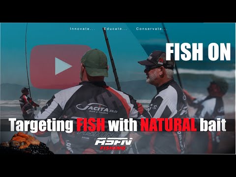 Видео: Ловля рыбы с помощью натуральной приманки | ASFN Rock & Surf