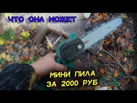 Видео: Минипила на аккумуляторах за 2000 рублей. На что способна эта "малышка" и стоит ли покупать