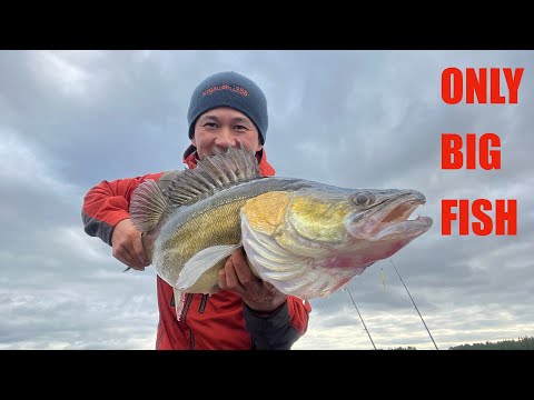 Видео: В поисках трофея. Тест палки Hearty Rise Pelagic Game.