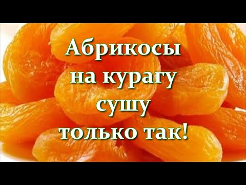 Видео: Мало кто это знает. Как сушить абрикосы на курагу в домашних условиях