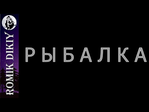 Видео: Поклевки сезона 2022г  Избранное