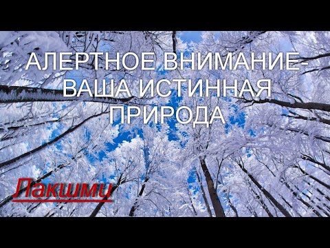 Видео: Алертное внимание - ваша истинная природа [Лакшми, озв.Никошо]