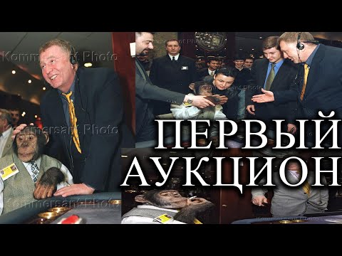 Видео: Первый аукцион на канале! (Фильмы, Аниме, Игры и прочее)