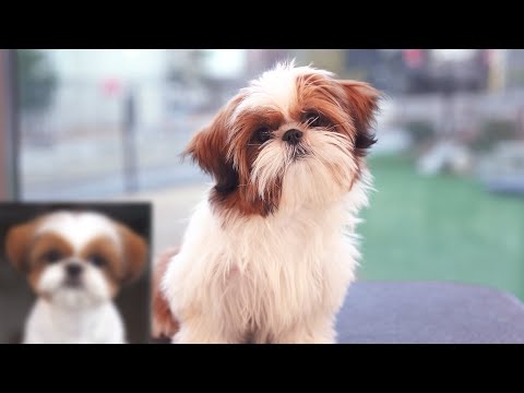 Видео: Я буду любить тебя!