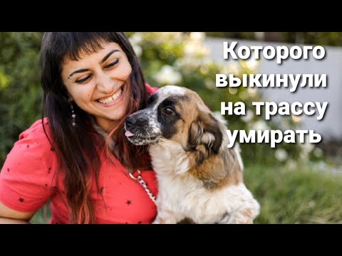 Видео: 25-МУ НАШЛИСЬ РУЧКИ?😱