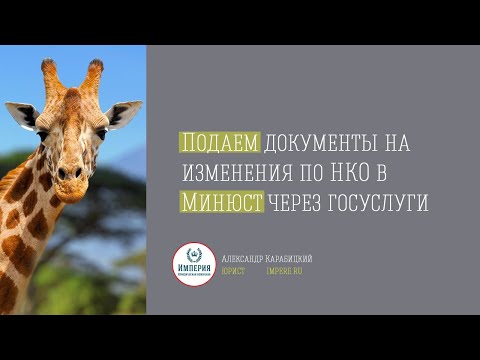 Видео: Как подать документы при изменениях в Минюст через госуслуги