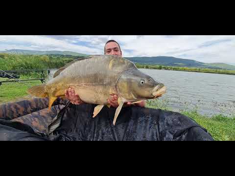 Видео: CARPOHOLICS на  Кулеков  лейк