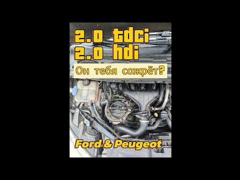 Видео: Обзор двигателя Ford 2.0 TDCi & PSA 2.0 HDi