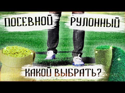 Видео: Посевной или рулонный газон. Какой газон выбрать