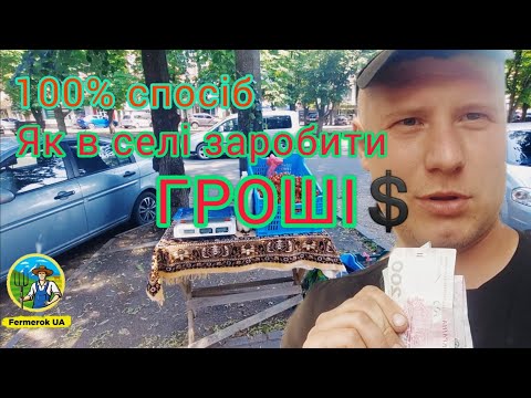 Видео: Як в селі можно заробляти грощі