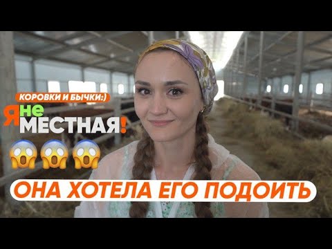 Видео: Я не местная. Ставропольский край. Село Красное. Бычки и коровы