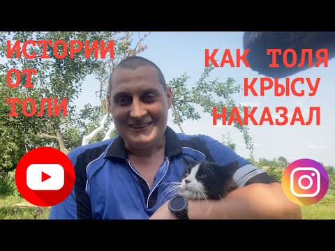 Видео: Толя Солома/тюремные истории/ИСТОРИЯ КАК КРЫСУ В ТЮРМЕ НАКАЗЫВАЮТ